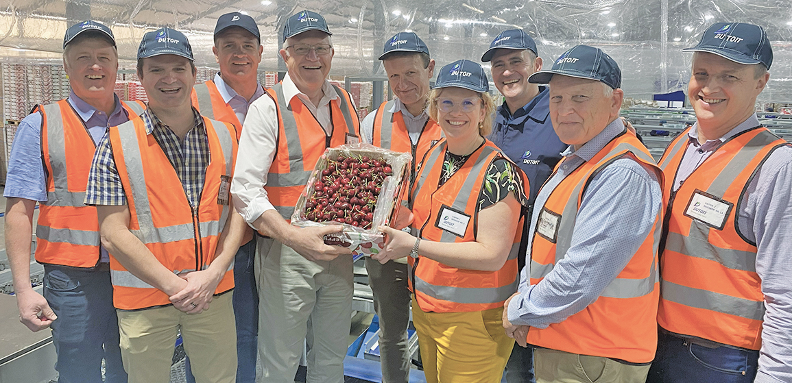 Vrugteprodusente in Wes-Kaap erg frustreerd